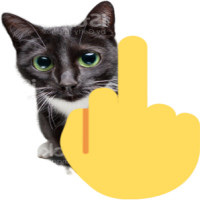 middle-finger-cat
