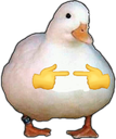 uwu-duck