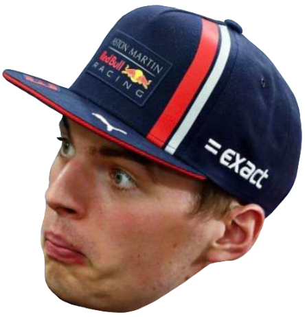 verstappen-really